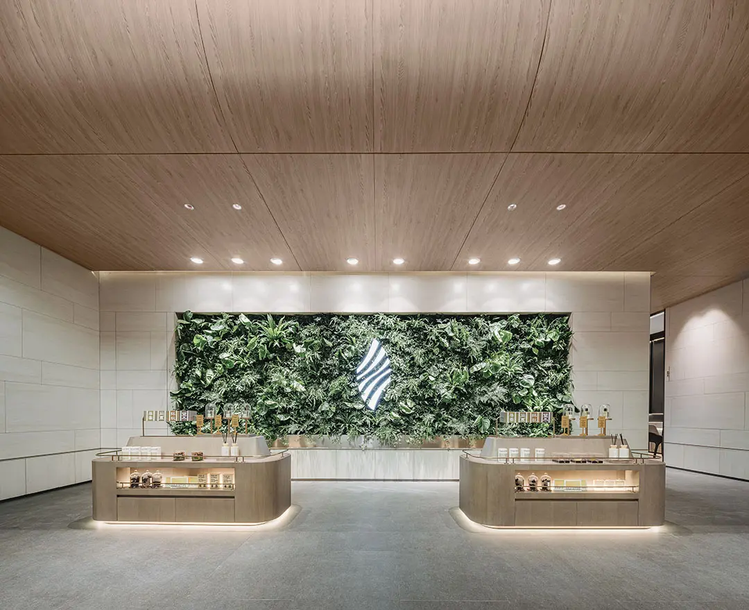 样板房实景图-客厅