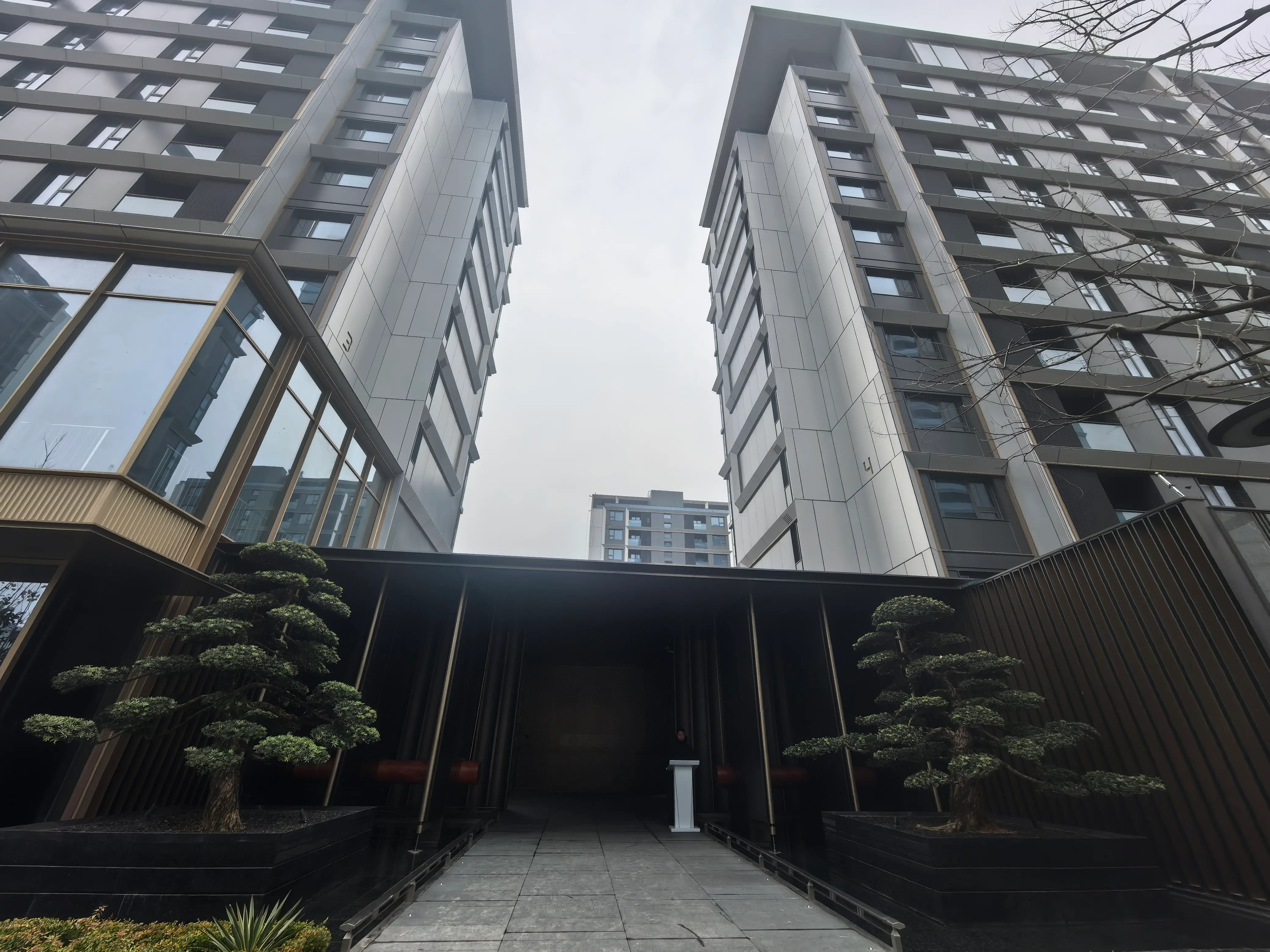 小区入口景观节点，展现精致的园林设计