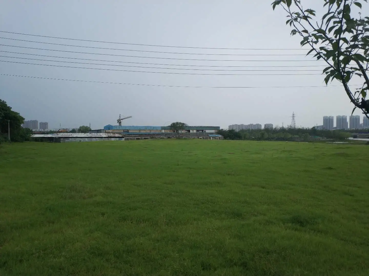 三江口公园实景图绿意盎然