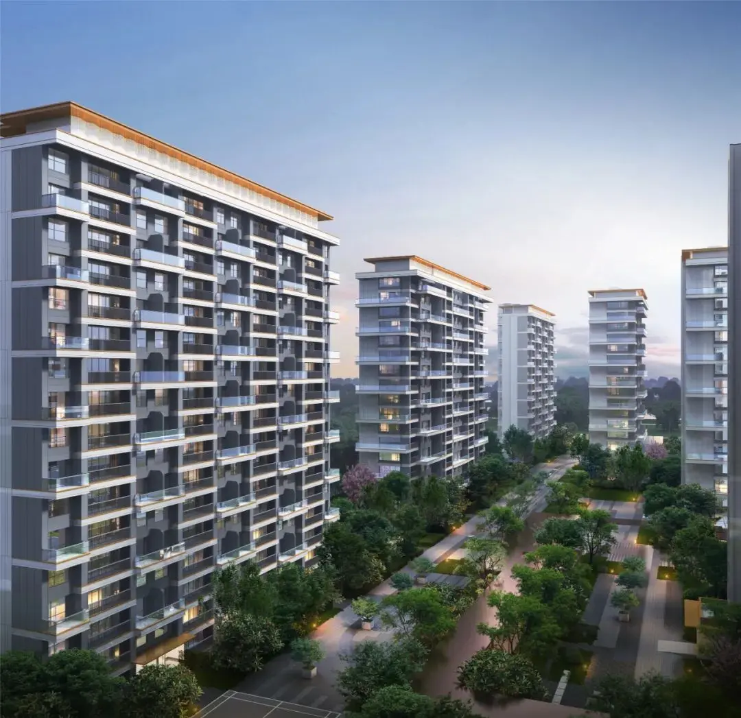 白桦林隐外立面图