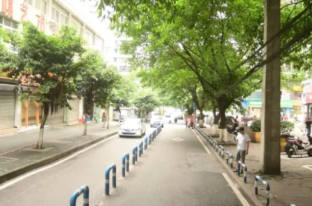长盛嘉岚道路实景图-工人街