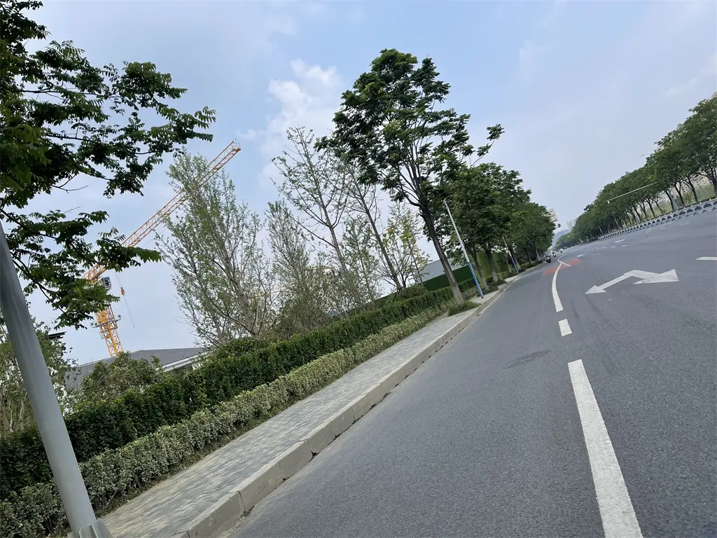 运河路道路实景
