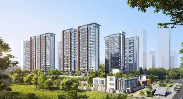 春风与你项目效果图