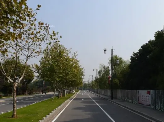 高淳雅园周边道路实景图