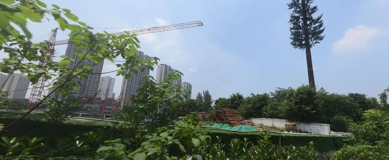 彩云湖湿地公园生态景观
